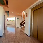 Guestready - Tenesor 306 Playa del Ingles (Gran Canaria)